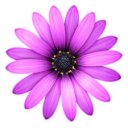 TextMate