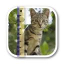 SizeMyPics 1.8.1
