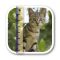 SizeMyPics 1.8.1